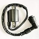 New Ignition Coil 1C for Chinese 125-250cc Sport ATVs Bike Scooter Moped Go Kart