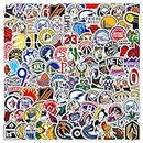 100 Pcs NBA logo Stickers National Ice Hockey Vinyl Decals,All Teams Collection Sports Sticker Decals Packs,Laptop Stickers of Hockey Teams,NH_L Sticker for Fans Teens Kids