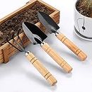 DEE SONS 3 Pcs Gardening Hand Tool Kit for Home Gardening, Garden Fork Mini Indoor Garden Tools for House Plants, Indoor And Outdoor Tools, High Carbon Steel Heavy Duty (Hand Cultivator, Trowel, Transplanter)