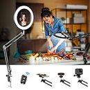 Ring Light with Stand and Phone Holder for Desk, Evershop 10" Selfie Light for Phone Laptop Computer, Overhead Phone Camera Mount Tripod with Remote for Video Recording/Live Streaming/Cooking/YouTube