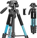 BONFOTO Q111 Portable Pro 55-Inch Tripod Compact Lightweight Camera Stand with Phone Holder Mount and Quick Release Pan Head Plate for Smartphones Digital SLR Canon Eos Nikon Sony Samsung(Blue)