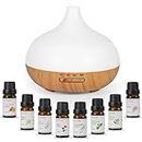 Worve Essential Oil Diffuser 500ML,Ultrasonic Aromatherapy Diffuser Mist Humidifiers,Humidifier with 14 Color Lights for Large Room, 4 Timer Setting, Auto Shut-Off for Office Home Bedroom Living…
