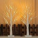 NOWSTO Lighted Birch Tree, 2 Pack 2FT Tree Indoor, Battery Operated Artificial Tree with 24 Warm White Lights, Inside Artificial Branch Tree for Christmas Home Wedding Decor Tabletop Tree Decoration