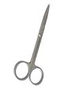 DeLegarde® Sharp Tipped Stainless Steel Small Scissor Hair Trimming Beauty Personal Care for Men Women