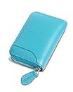 GADIEMKENSD Credit Card Holder RFID Blocking Sleeve Wallet with Zipper Cute Carteras para Mujer Tarjetero De Purse for Travel Mens Business Card Cases Cash Envelopes Wallet for Women's Gift Sky Blue