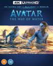 Avatar: The Way of Water 4K Blu-ray (2022)
