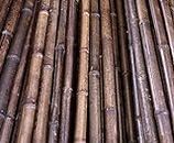 Canna di bambù 200 cm con Diametro. Bambus-Discount - Canne di bambù Colorate, da 4 a 5 cm, in canne di bambù