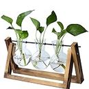 AYPHESMAN Plant Propagation Station Gardening Gifts for Women Indoor Birthday Gifts for Women Her from Daughter Mum Sister Best Friend Wife Anniversary Teacher Auntie Female Presents Gift