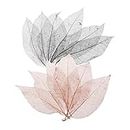 chiwanji 100Pcs Magnolia Leaf Skeleton Leaves Scrapbooking Black Coffee Ornament
