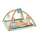 Chicco Magic Forest Relax & Play Gym, 1250 Grams