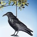 TRI Vogelschreck "Rabe", Taubenschreck Taubenabwehr, Abwehr Taube Möwe Vögel, schwarzer Rabe, wetterfest, Kunststoff, 40 cm