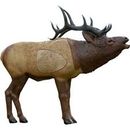 New Rinehart 1/3 Scale Woodland Elk 3D Target Hunting Broadhead LIFELIKE Bull