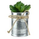 Northlight Seasonal 5" Artificial Pachyveria Succulent in Tin Can Planter w/ Twine Bow Plastic/Metal | 5 H x 3.5 W x 2.5 D in | Wayfair