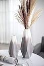 TERESA'S COLLECTIONS Grey Vases Home Decor, Gray Vase for Mantel Decor, Modern Decorative White Flowers Vase for Living Room, Shelf, Pampas Grass, Ideal Gifts for Mothers Day, Mom-Set of 2,11 inch