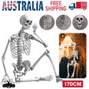 170cm Poseable Skeleton Full Life Size Human Skeleton Decoration Prop