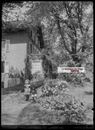 Plaque verre photo ancienne négatif noir et blanc 13x18 cm enfants maison jardin