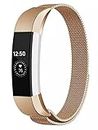 Strap-it Milanese Armband - Kompatibel mit Fitbit Alta Armband Ersatzarmband Edelstahl - Magnetverschluss - für Armband Rosa Gold (M/L)