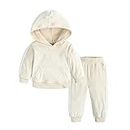 2Pcs Fashion Toddler Kids Baby Girls Velvet Clothes Outfit Pants Set Manica Lunga Hoodie Sweatshirt Tops Pants Solid Color Clothes Beige 80 9-12 Mesi