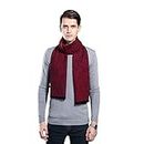 WY Scarf for Men Gift Idea Cashmere Scarfs Super Warm Soft Wool Scarf for Winter