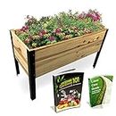 Backyard Expressions Raised Garden Bed, Elevated Wood Planter Box Stand - 35.5" W x 15.5" D x 22" H