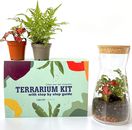 Terrarium Kit with Cork Lid Fittonia Fern Dwarf Tear Seeds Mini Garden DIY Kit