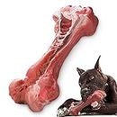 MASBRILL Dog Chew Toys for Aggressive Chewers Indestructible Durable Dog Chew Bone Non-Toxic Natural Rubber Toy for Dog Teeth Cleaning Interactive Dog Toys for Small Medium Large Dogs (L, Red-B)
