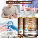 Ceylon Cinnamon Antioxidants and Joint Health 1200 Mg Per Serving