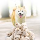 60 Count Rawhide Knot Bones Dog Bulk Treats Chews Natural Rawhide Healthy Dog Te