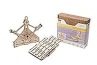UGEARS STEM Arithmetic Kit 2 in1 Model Kit - Creative 3D Wooden Puzzles for Adults, Teens and Children - DIY Mechanical Science Kit for Self Assembly - Educational and Engineering 3D Puzzles with App