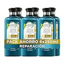 Herbal Essences Champú Reparador Con Aceite De Argán, Para Pelo Seco Y Dañado, 6x250ml