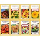 Summer hybrid Flower Seeds for terrace garden (Pack of 8, 300+ Seeds), Summer Season seeds kit, Flower Seeds for home garden