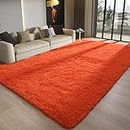Zareas Soft Fluffy Area Rug for Living Room Bedroom 5x8 Feet Plush Shaggy Rugs Furry Rugs for Playroom Kids Girls Rooms Kawaii Red Orange Rug Fuzzy Shag Accent Carpets Modern Apartment Dorm Decor