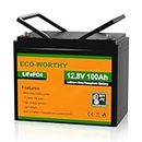 ECO-WORTHY 12V 100Ah LiFePO4 Lithium Battery with Low Temperature Protection, built-in BMS, Up to 15000+ Deep Cycles, Perfect for Trolling Motor, RV, Camping, Off-Grid System