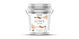 EVOLVE Ultimate One-Coat Coverage Paint & Primer in White for Interior & Exterior House Paint, Semi-Gloss Sheen, 5-Gallon
