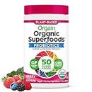 Orgain Organic SuperFoods Berry .62 Ib, 280 g
