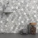 BeNice Hexagon Peel and Stick Backsplash Tiles for Kitchen,Tile Stickers Peel and Stick on Bathroom Tiles for Wall Tile Panels Mosaic Tiles Backsplash(10pcs Gray)