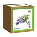 Sow and Grow Seed Starter Grow Kit of Lavender Flower || for temperatures 15-25 Degrees || DIY Easy Grow it Yourself Gardening Kit for Home and Garden || A Complete Beginner Gardeners Gardening Set
