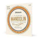D'Addario EJ74 Cordes pour Mandoline