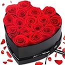 Mothers Day Rose Gifts, 16-Piece Preserved Red Roses in a Box, Birthday Gift for Women, Ideal Mother's Day Flower Gifts for Mom from Daughter, Fresh Forever Roses Gifts for Wife, Mom Gifts for Grandma