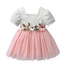Toddler Baby Girls Summer Dress Infant Short Sleeve One-Piece Bow-Knot Princess Sundress Thin Skirt Outfits 6-9 Months Pink
