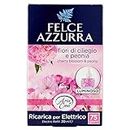 Felce Azzurra Ricarica Deo Ambiente Elettrico Profumo Peonia & Fiori di Ciliegio - Pacco da 1 x 20 ml - Totale: 20 ml