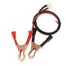 MYADDICTION 1 Pair Car 50Amp Battery Alligator Clips Clamp Cable for High Power Inverter Motors | Automotive Tools & Supplies | Battery Testers & Chargers | Chargers & Jump Starters