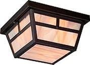 Nuvo Lighting 60/5676 Tanner Flush 2 Light 60-watt A19 Outdoor Close To Ceiling Porch and Patio Lighting with Honey Stained Glass, Claret Bronze