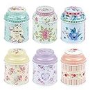 TooGet Elegant Metal Tinplate Empty Tins, Shabby Chic Mini-Boxes for DIY Candles, Dry Storage, Spices, Tea, Candy, Party Favors, and Gifts - Random Color(Cylinder 6-Pack)
