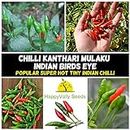 Chilli KANTHARI MULAKU Indian Birds Eye 10 Seeds Super HOT Chili Spicy Vegetable