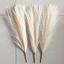 SATYAM KRAFT 3 Pcs Faux Pampas Small Fluffy Artificial Flowers Fake Flower for Home, Office,Bedroom Decoration (Without Vase Pot) (Off White) Silk