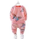 Baby Girl Butter Fly Printed Long Sleeve Tops T-Shirt+ Pants 2Pcs Outfits Set Clothes (2-3 years)