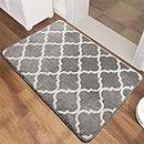 SHALVI Bathroom Mat/Mat for Bathroom/Door Mat/Door Mat for Home Entrance, Non-Slip Bath Mat,Soft and Absorbent Microfiber Bath Rugs(Grey, 60x40)
