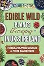 Edible Wild Plants Foraging in UK & Ireland: Learn How to Identify Safely and Harvest Nature's Green Gifts (Forager's Guides)