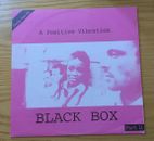1009 - VINYL 12" BLACK BOX A POSITIVE VIBRATION 1995 GGM 9549 ITALY  